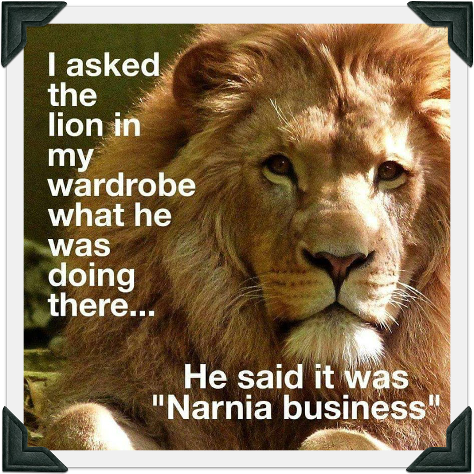 Narnia Business